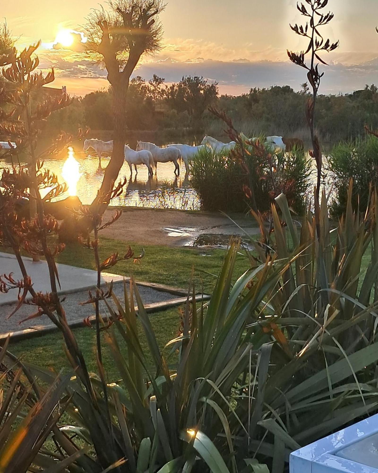 Mas Des Cabidoules Bed and Breakfast Σαιντ-Μαρί-ντε-λα-Μερ Εξωτερικό φωτογραφία