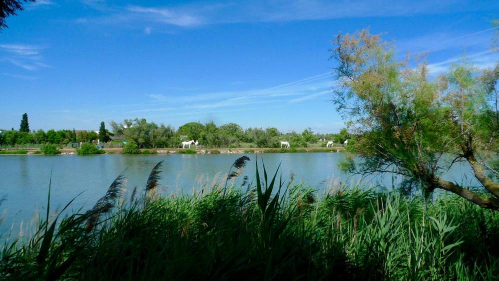 Mas Des Cabidoules Bed and Breakfast Σαιντ-Μαρί-ντε-λα-Μερ Εξωτερικό φωτογραφία